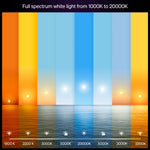 Philips Hue White and Colour Ambience E27 Starter Kit
