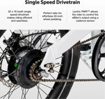 Lectric XP Lite Long-Range eBike Electric Commuter Bikes.
