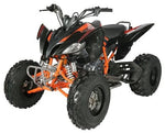 Vitaccii Pentora Racing ATV