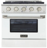 Kucht Professional 30-Inch 4.2 cu. ft. Gas Range with Convection Oven in Titanium